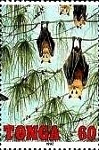 Stamp, Bat shanging in tree. e, Bat hanging from tree limb, Tonga,  