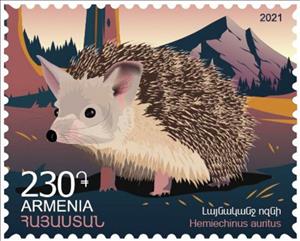 Stamp, Long-Eared Hedgehog (Hemiechinus auritus), Armenia,  , Hedgehogs