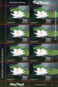 Mini Sheet, White Water Lily (Nymphaea alba), Armenia,  , Flowers, Plants (Flora)