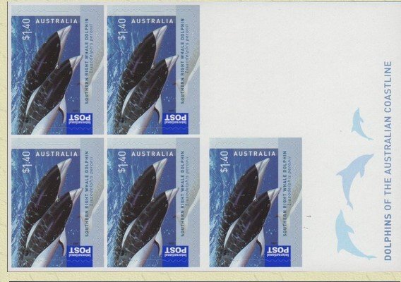 Southern Right Whale Dolphin (Lissodelphis peronii)