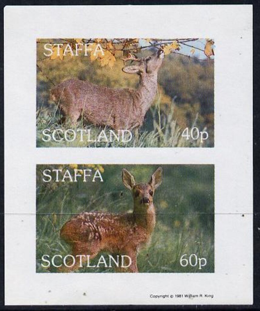 Animals