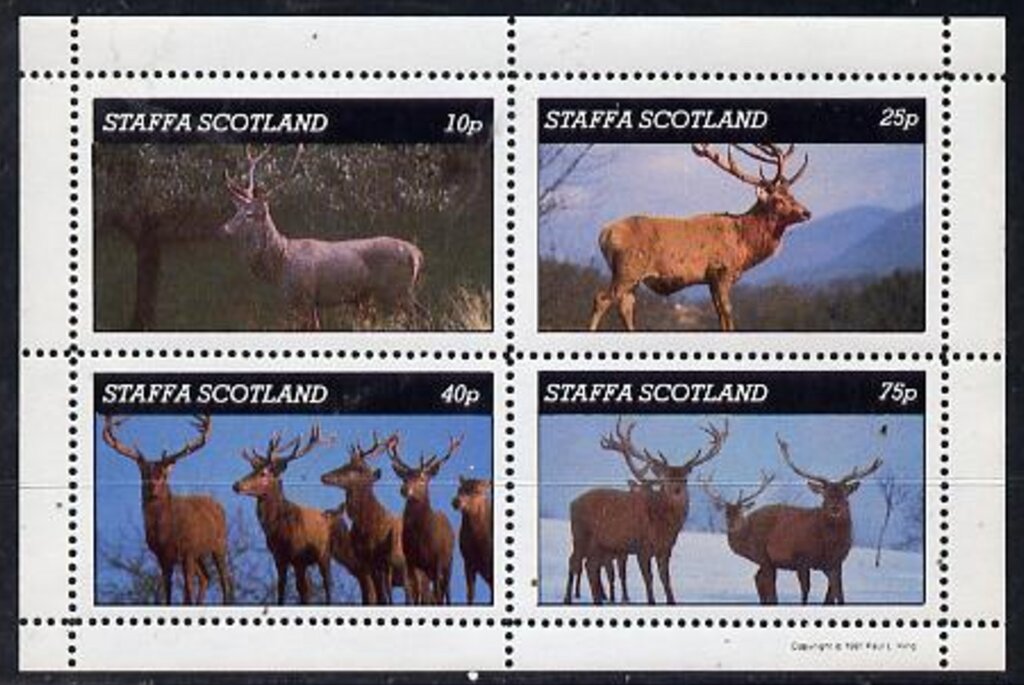 Animals