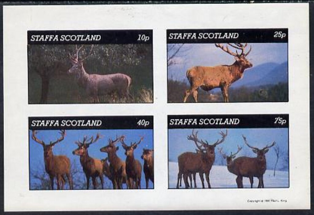 Animals