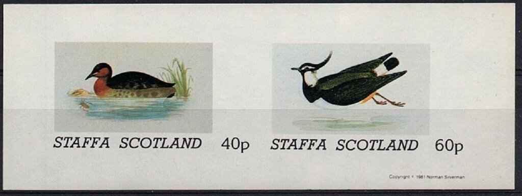 Birds