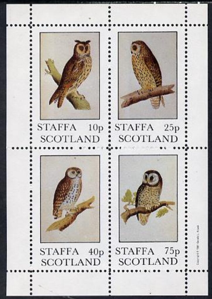 Birds
