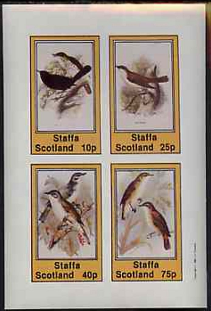 Birds