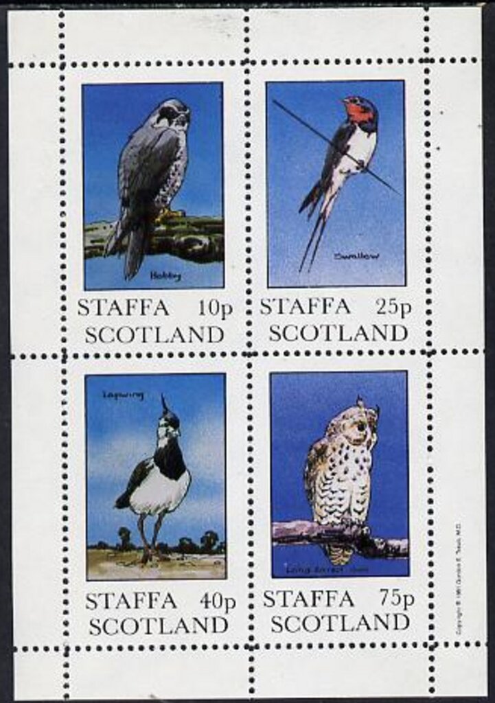 Birds