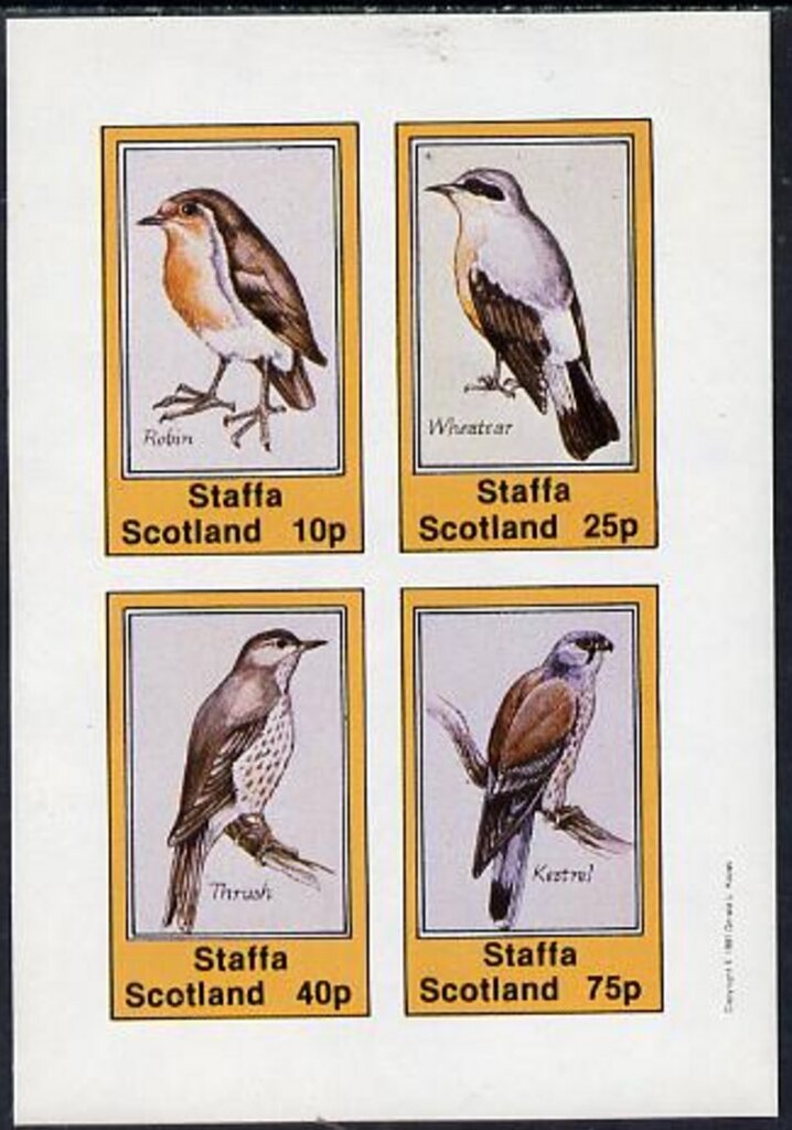 Birds