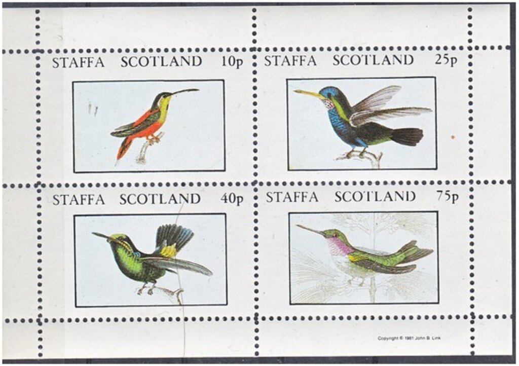 Birds