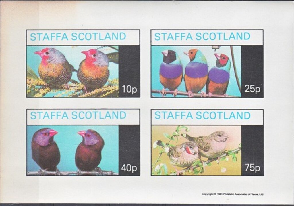 Birds
