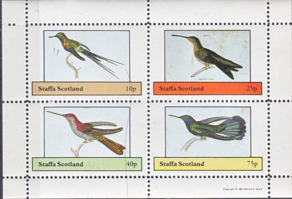 Birds