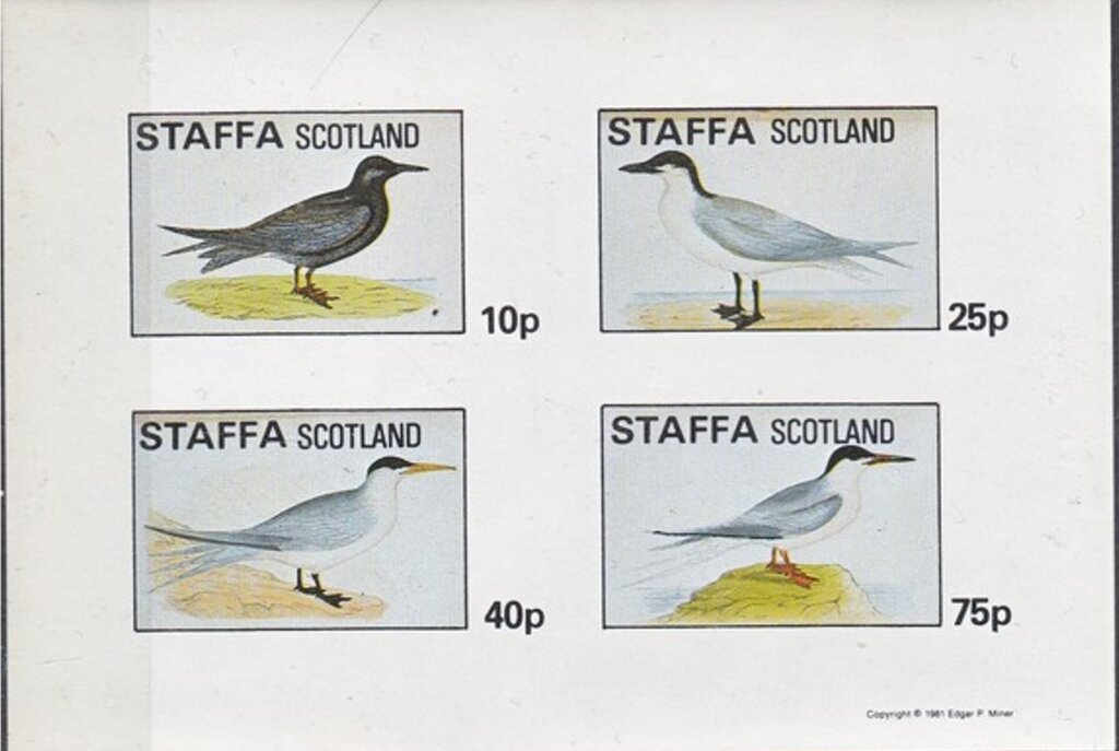 Birds