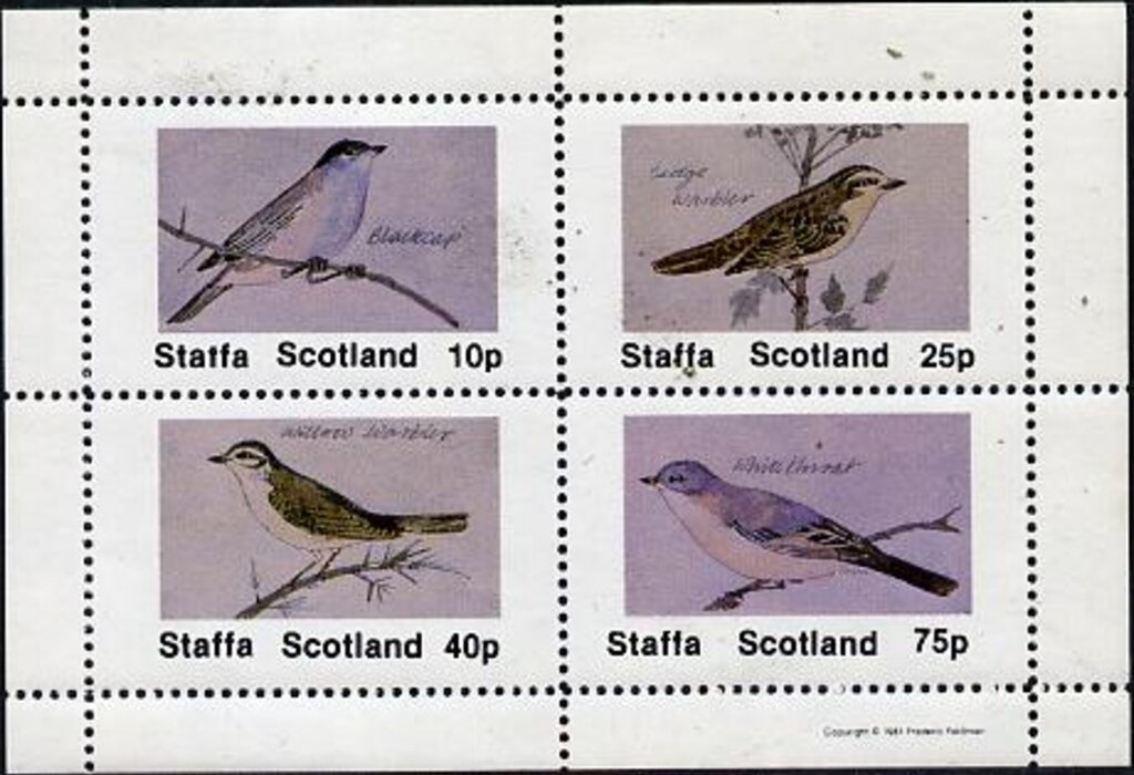 Birds