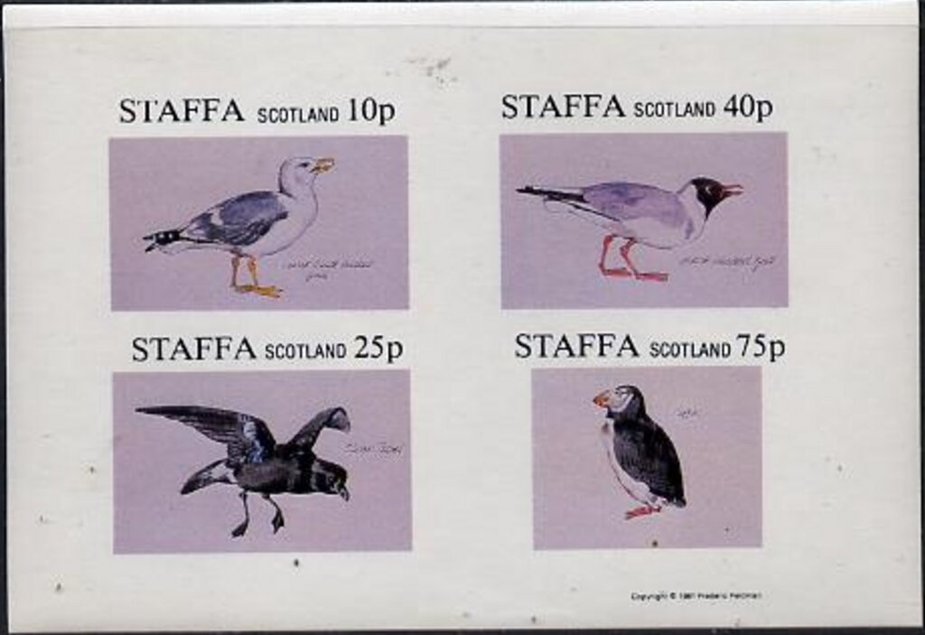 Birds