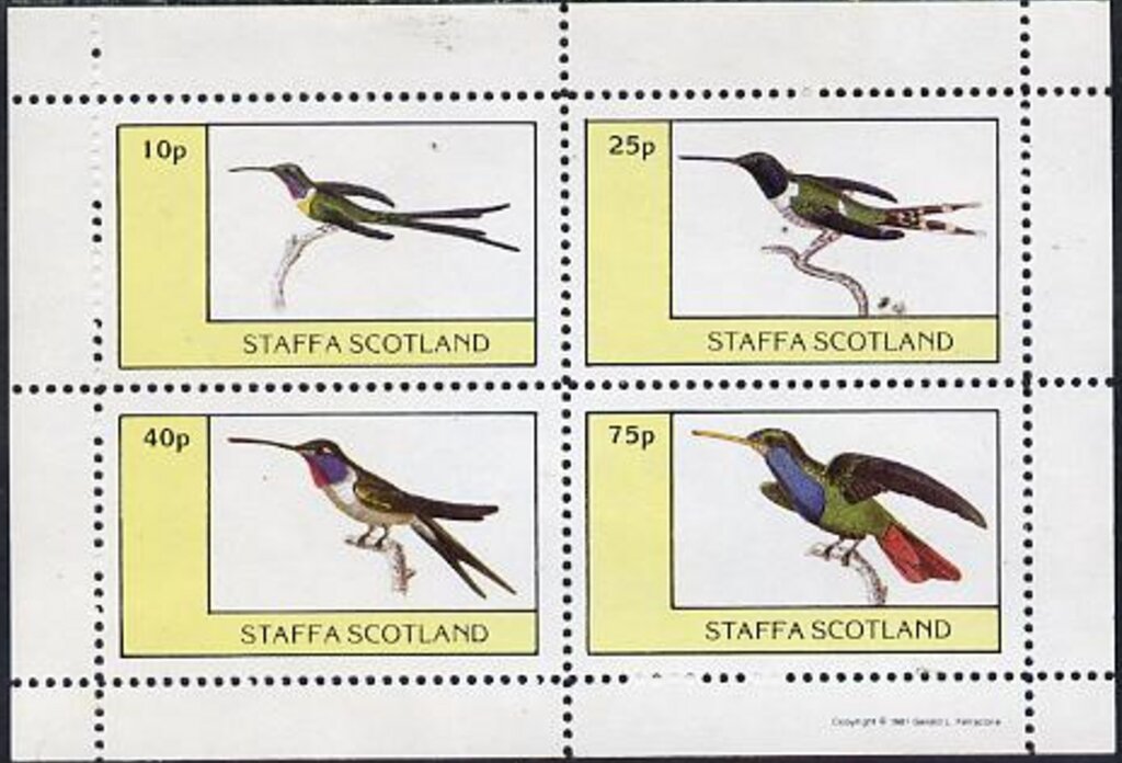Birds