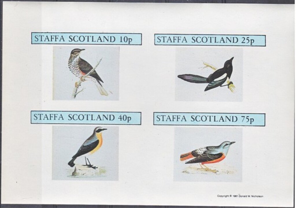 Birds