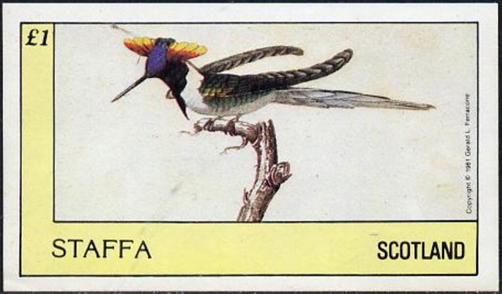 Birds