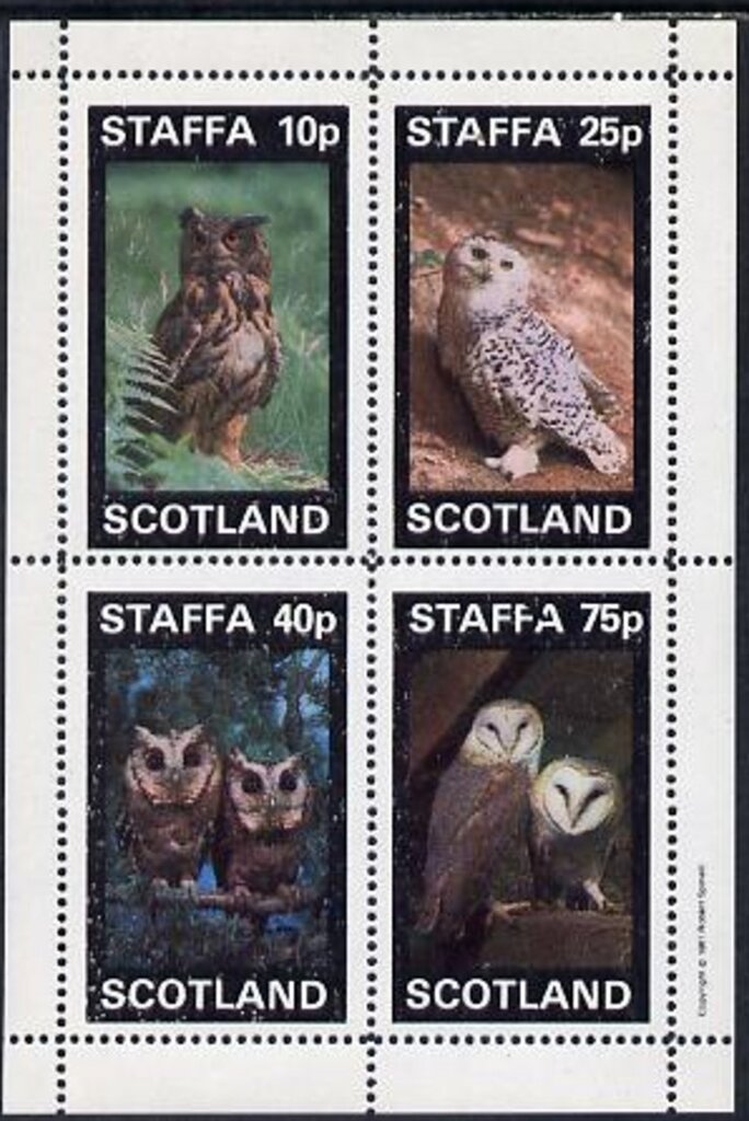 Birds
