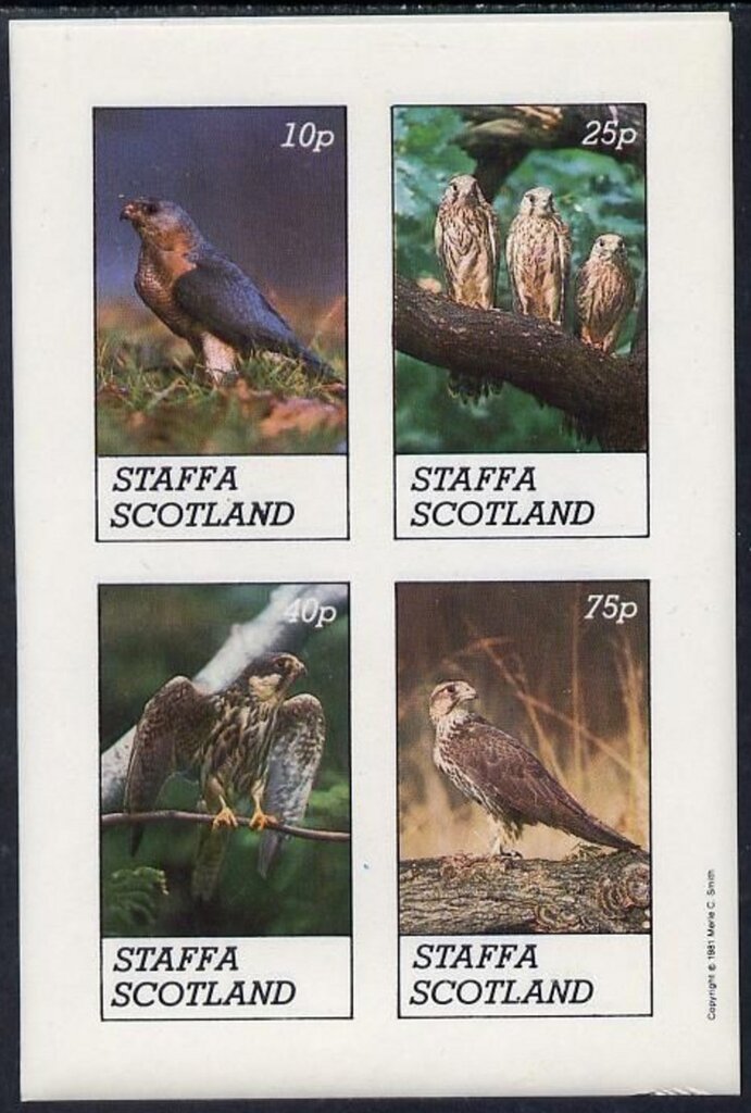 Birds