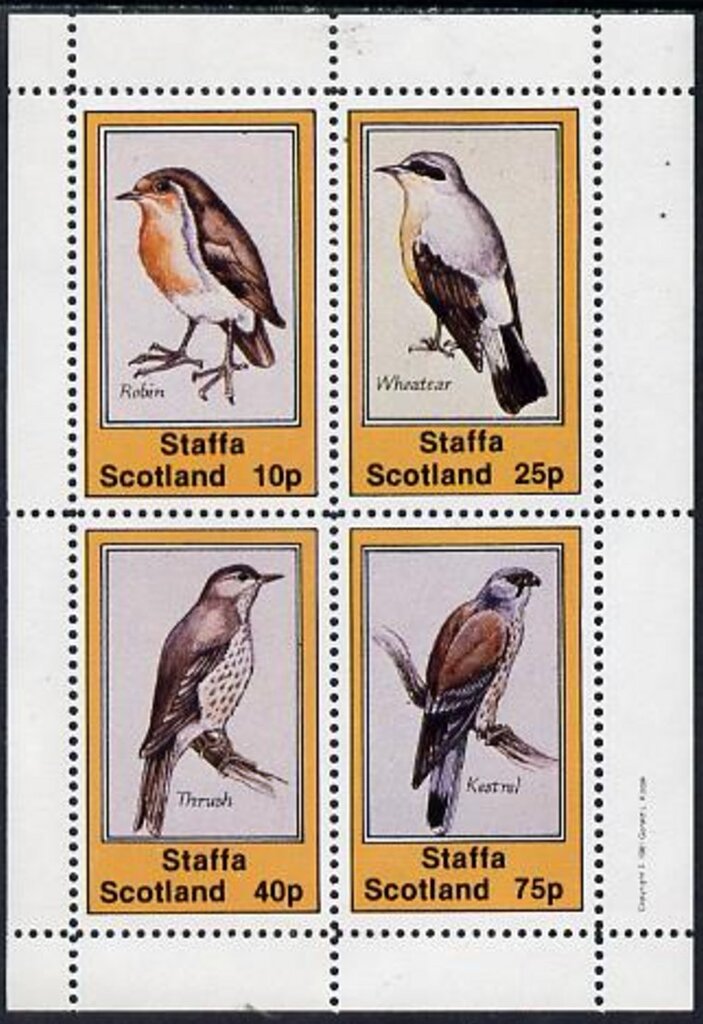 Birds