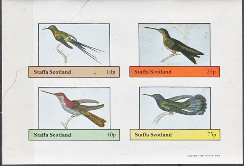 Birds