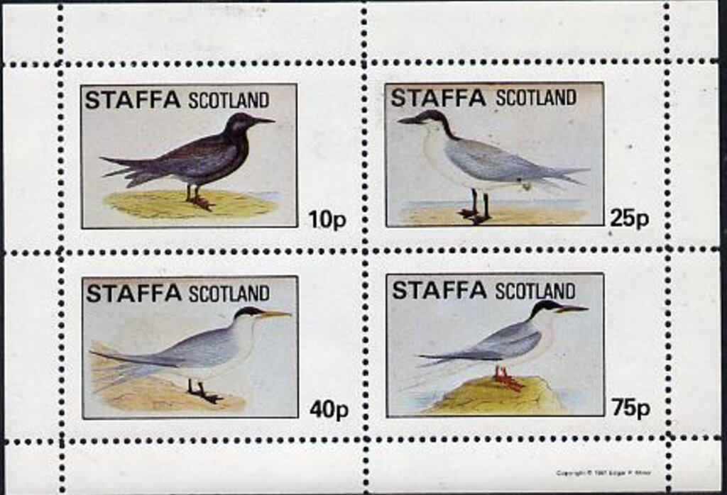 Birds