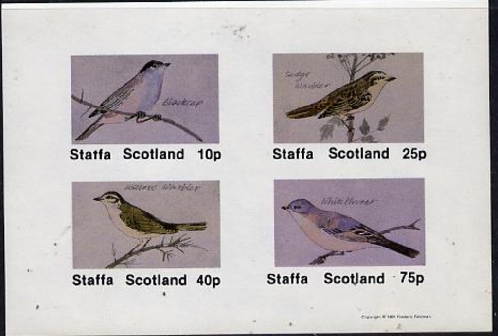 Birds