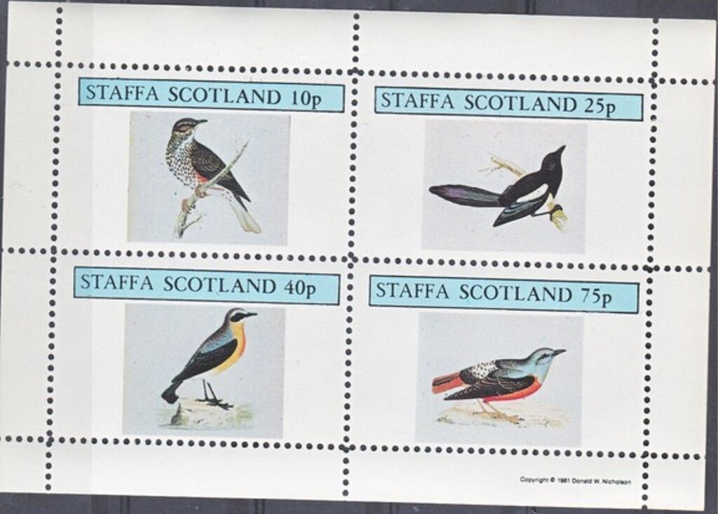 Birds