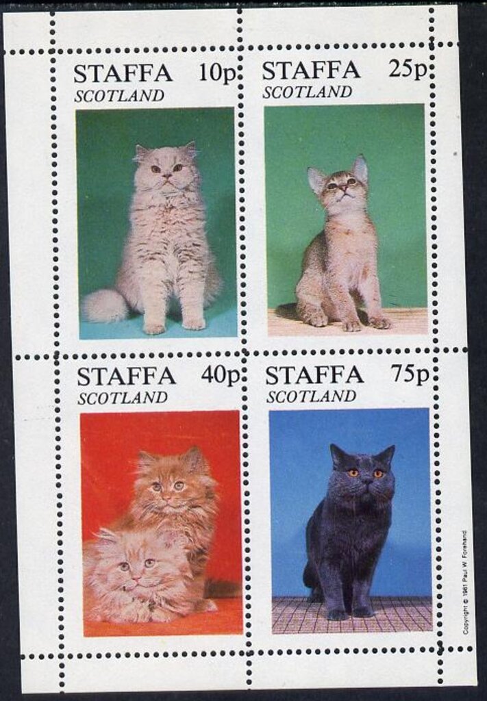 Cats