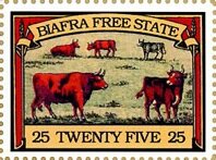 Cattle