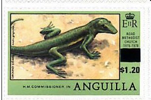 Anguilla Bank Anole (Anolis gingivinus) 