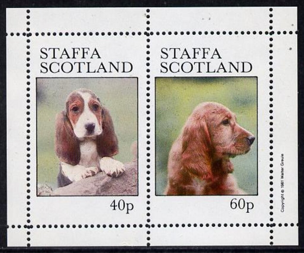 Dogs