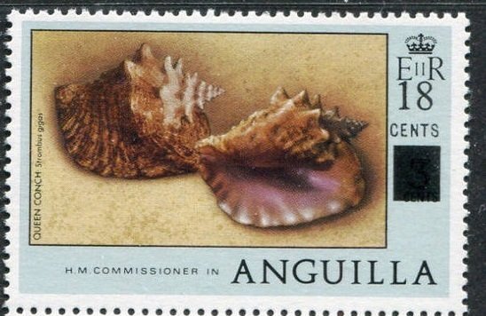 Queen Conch (Lobatus gigas)