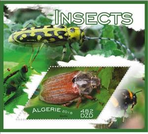 Souvenir Sheet, Insects, Cinderellas,  , Animals (Fauna), Insects