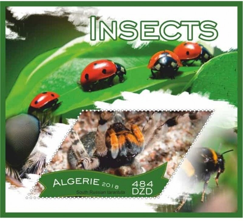 Insects