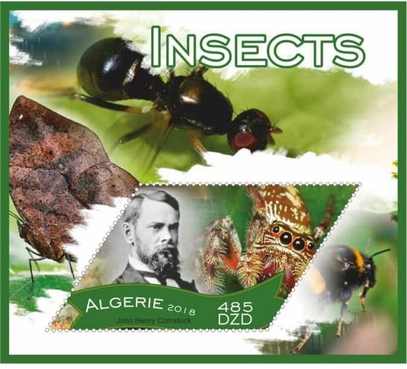 Insects