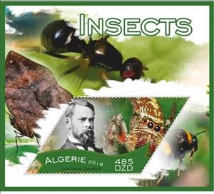 Souvenir Sheet, Insects, Cinderellas,  , Animals (Fauna), Insects