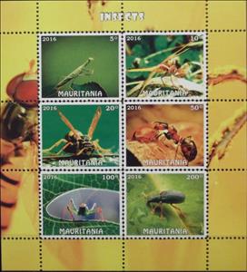 Mini Sheet, Insects, Cinderellas,  , Insects