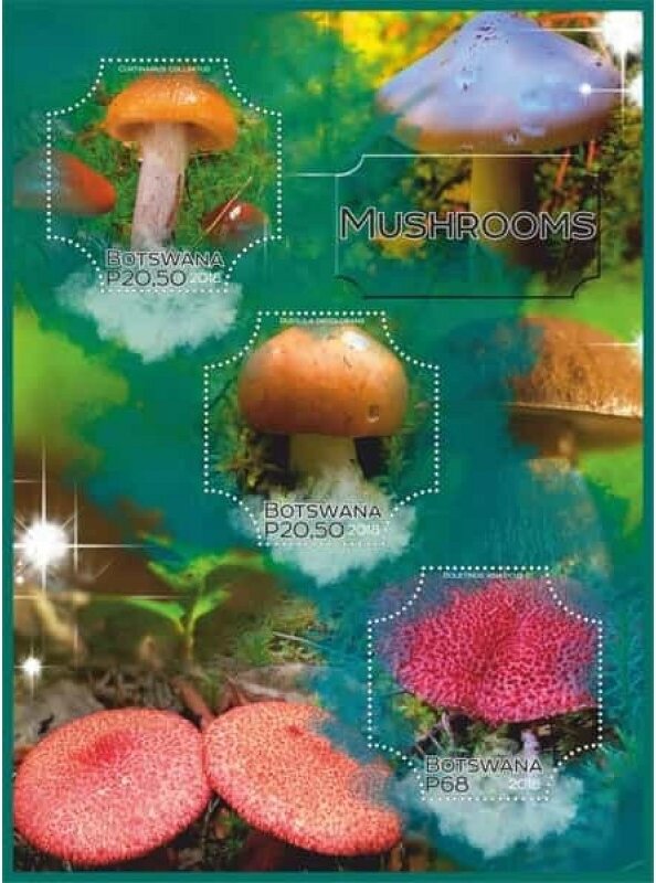 Mushrooms
