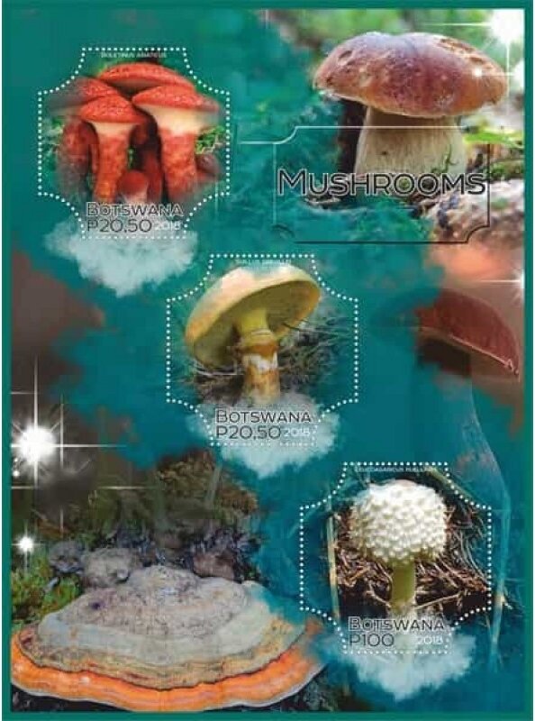 Mushrooms