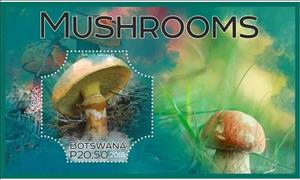 Souvenir Sheet, Mushrooms, Cinderellas,  , Mushrooms