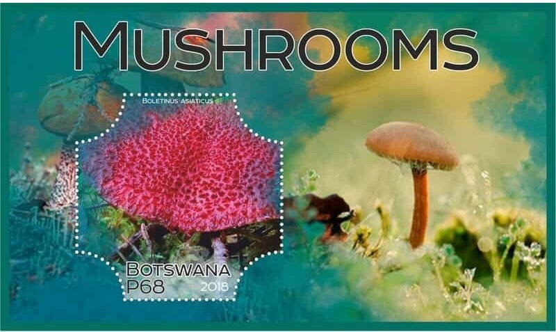 Mushrooms