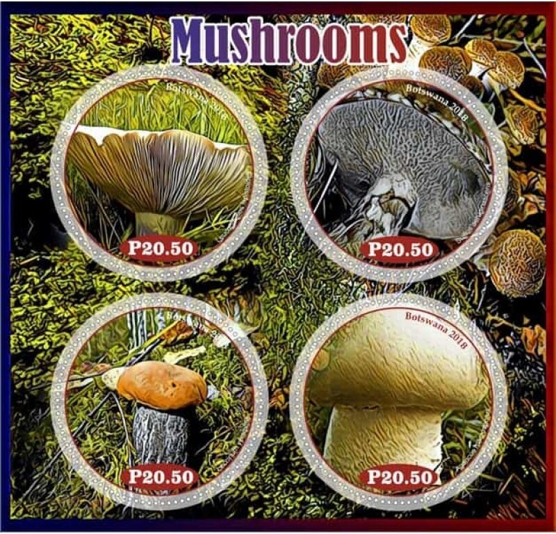 Mushrooms