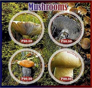 Mini Sheet, Mushrooms, Cinderellas,  , Mushrooms