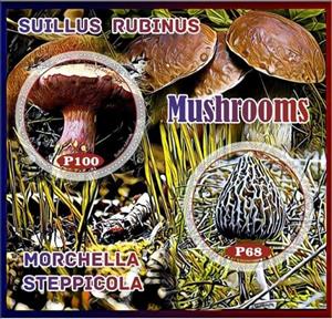 Mini Sheet, Mushrooms, Cinderellas,  , Mushrooms