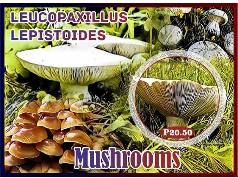Mushrooms