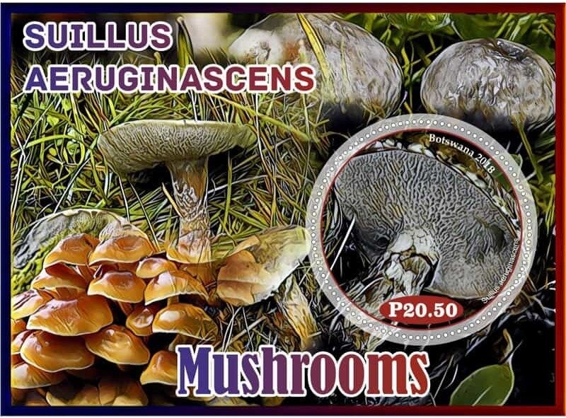 Mushrooms