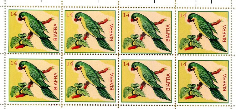 Parrot