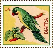 Parrot