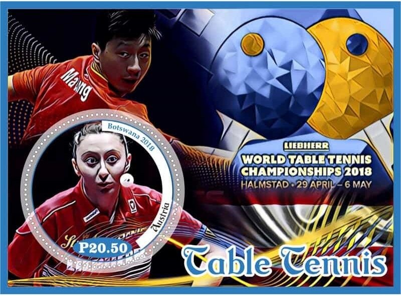 Sport Table tennis